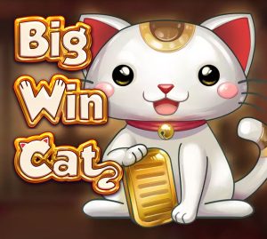 Read more about the article Big Win Cat