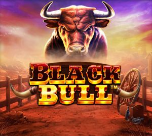 Read more about the article Black Bull
