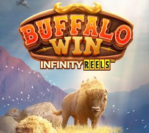 Read more about the article Buffalo Win Infinity Reels