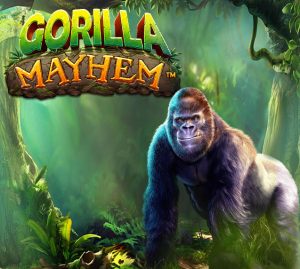 Read more about the article Gorilla Mayhem