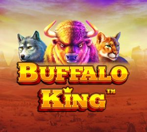 Read more about the article Buffalo King