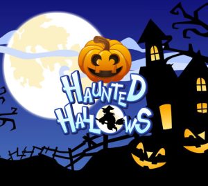 Read more about the article Haunted Hallows