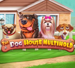 Read more about the article The Dog House Multihold™