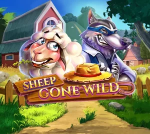 Read more about the article Sheep Gone Wild