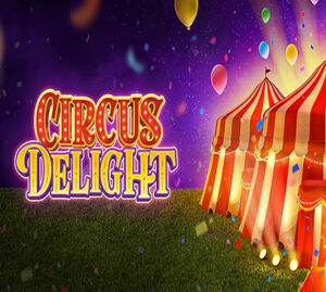 Read more about the article Circus Delight