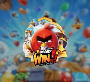 Read more about the article Angry Win