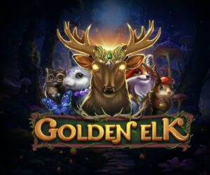 Read more about the article Golden Elk